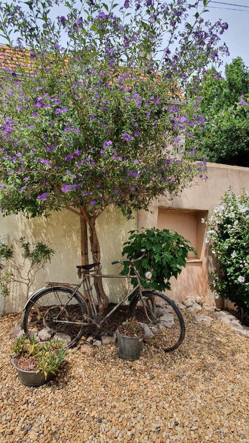 Gites "Tout Au Sud De La France" Pomérols Buitenkant foto