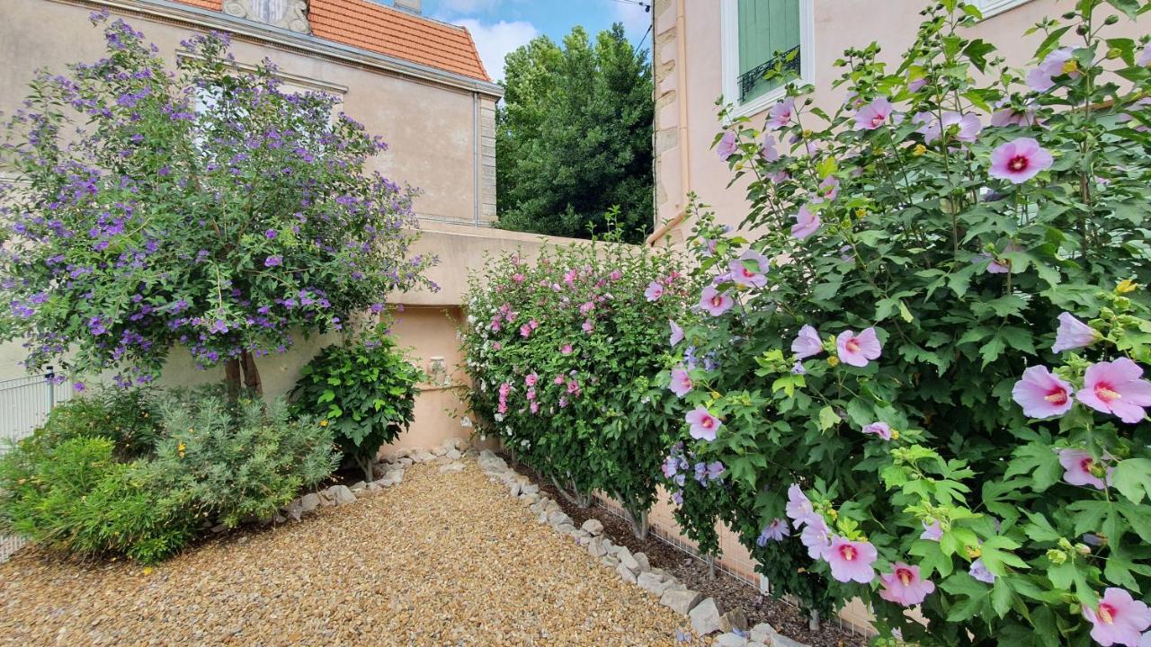 Gites "Tout Au Sud De La France" Pomérols Buitenkant foto