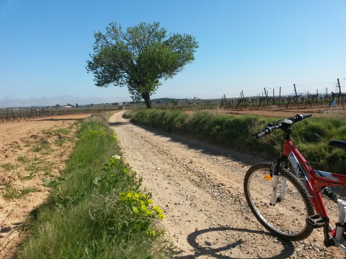 Gites "Tout Au Sud De La France" Pomérols Buitenkant foto